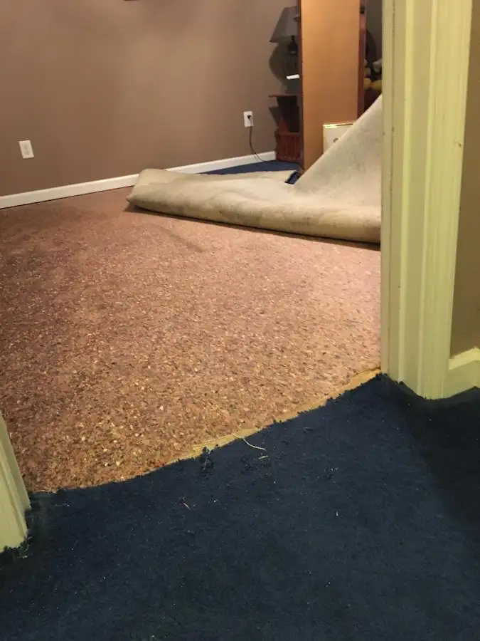 Carpet pad removal revealing water damage during Drying & Dehumidification in Chesterland