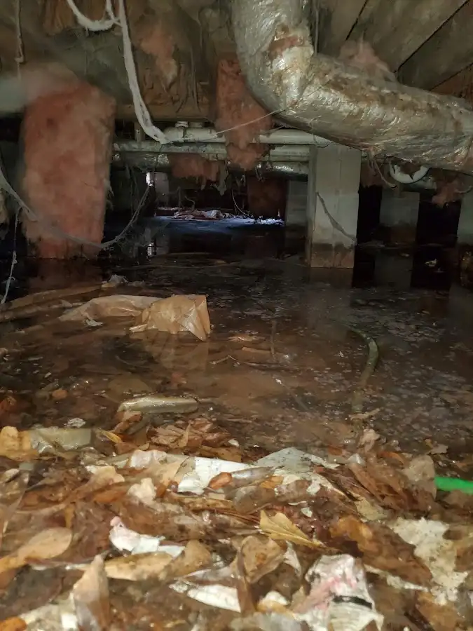 Crawl space flood assessment for Leak Detection & Repair in Chesterland