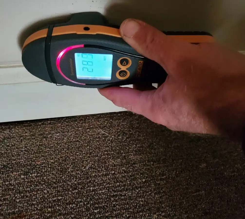 Moisture detection at baseboard during Burst Pipe Cleanup in Chesterland